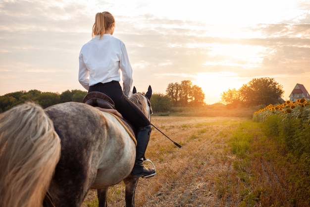 Une femme montant un cheval gris dans un champ au coucher du soleil. équitation, location, beau fond, gîte. Amitié et amour des gens et des animaux. Animal de compagnie. sport équestre