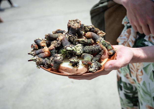 Femme montrant une assiette de balanes