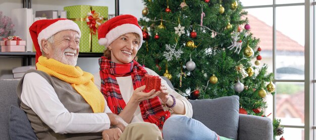 Femme mûre en bonnet et écharpe donnant un petit cadeau à un mari âgé assis sur un canapé près d'un arbre de Noël décoré dans le salon à la maison