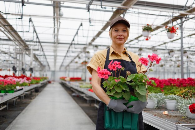 Femme mûre jardinier tenant des pots de fleurs en serre