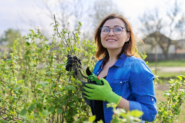 Photo femme mûre travaillant dans le jardin de printemps avec des sécateurs