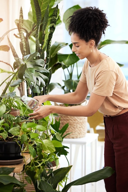 Femme noire arrosant des plantes et jardinant dans la maison pour les soins de santé et la croissance des plantes Fleurs de printemps durabilité et femelle du Brésil arrosant des feuilles de fougères et des plantes d'intérieur respectueuses de l'environnement à la maison