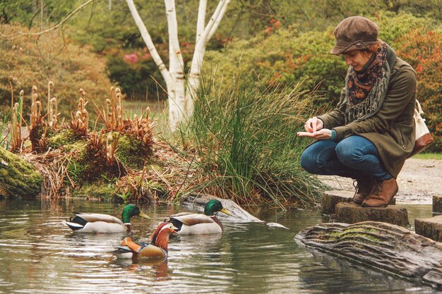 Photo une femme nourrit des canards qui nagent dans l'étang.