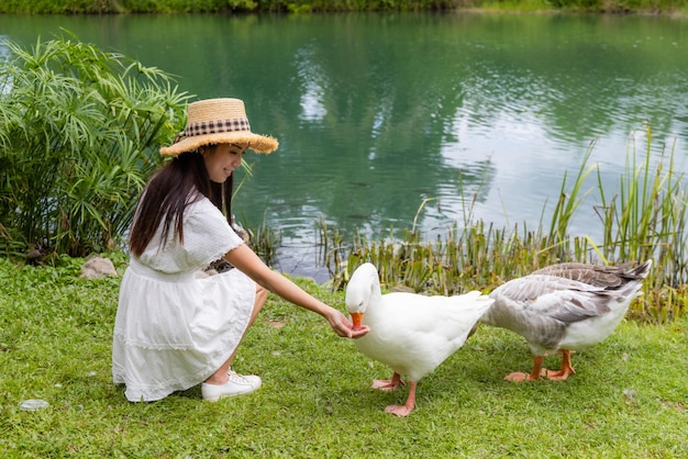 La femme nourrit l'oie au bord du lac