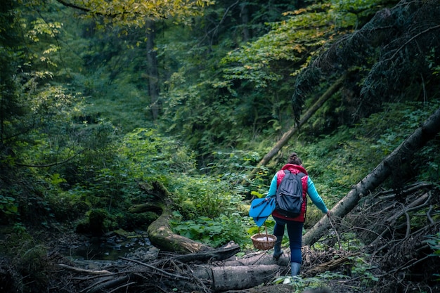 Femme avec panier marchant en forêt à la recherche de champignons. espace de copie