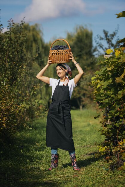 Femme avec panier sur vignoble