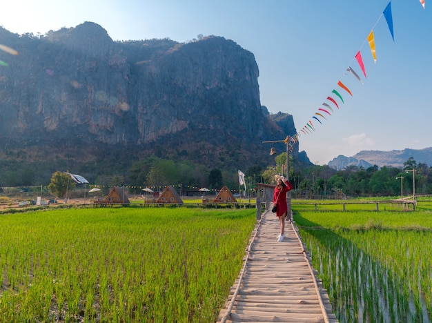 Femme de paysage debout sur un pont de bois au-dessus d'une rizière verte à la vue sur la grande montagne (Phu Pha Man) à Khonkaen, Thaïlande