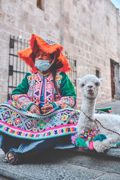 Femme péruvienne en vêtements traditionnels tenant un bébé lama dans la rue arequipa peru