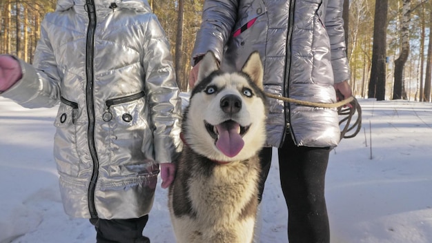 Photo femme et petit enfant marchant en courant dans la forêt d'hiver avec un chien husky