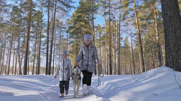 Femme et petit enfant marchant en cours d'exécution dans la forêt d'hiver avec un chien husky Jeune mère avec sa fille dans un parc avec un chien huskies