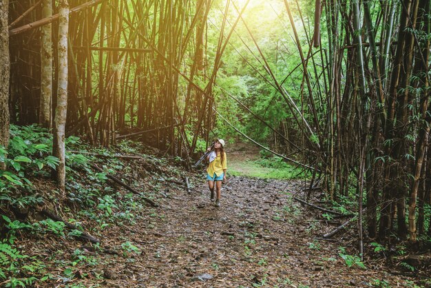 Femme photographe dans la forêt de bambous