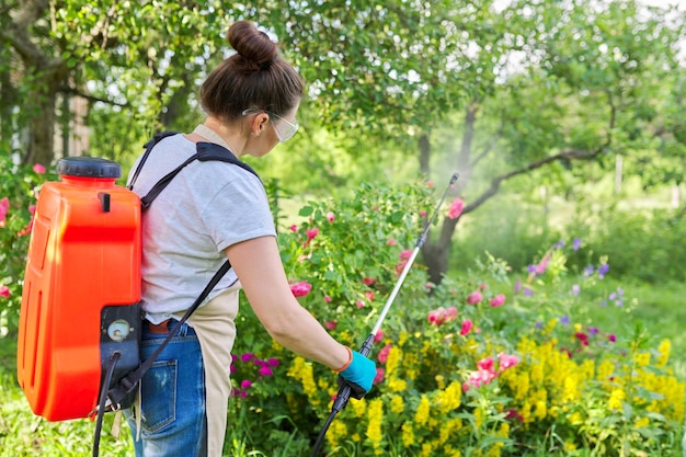 Femme avec pistolet de jardin sac à dos sous pression manipulant des buissons avec des roses en fleurs