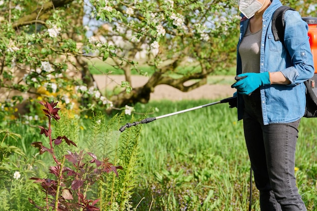 Femme avec pistolet de jardin sac à dos sous pression manipulant des roses d'arbustes