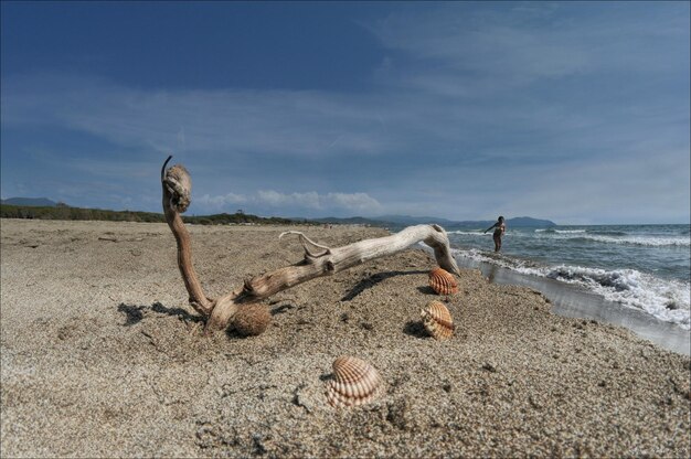 Une femme sur la plage contre le ciel