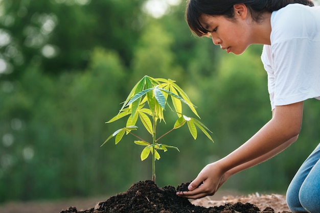 Femme plantant un arbre dans le jardin. concept éco