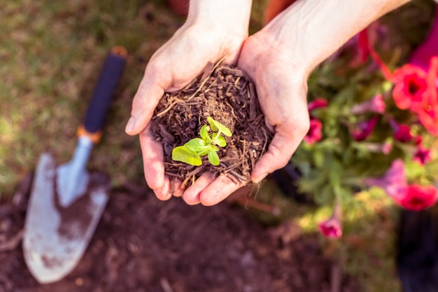 Femme plantant dans le jardin