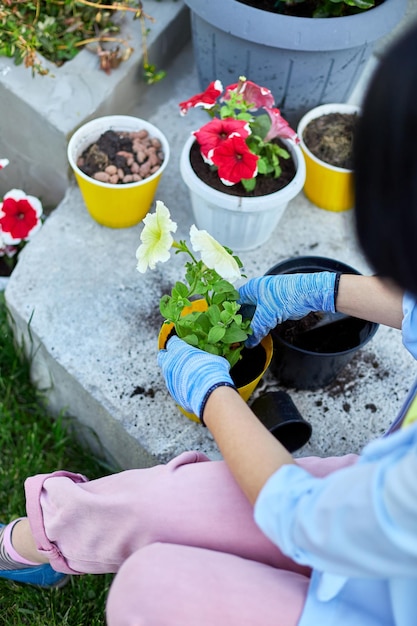 Femme plantant des fleurs de pétunia surfinia concept de jardinage en pot à la maison