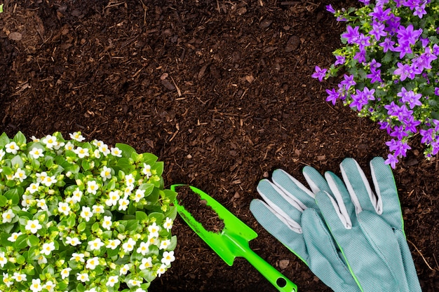 Femme plantant de jeunes plants de salade de laitue dans le potager