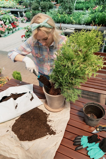 Une femme plante un buisson dans un pot de fleurs en utilisant de la terre dans le centre du jardin