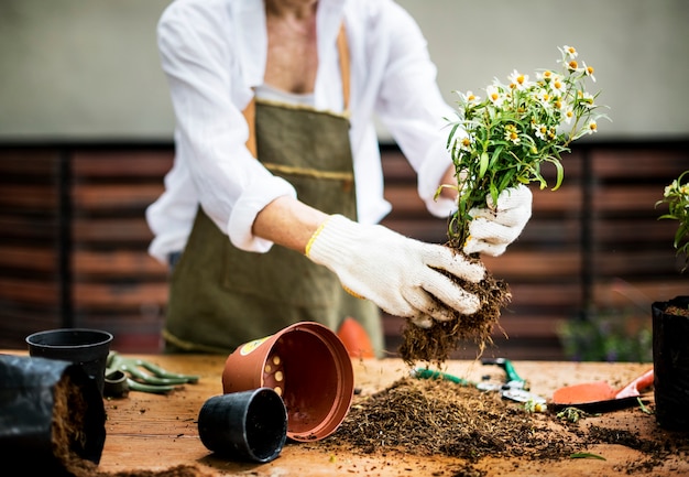 Une femme plante des fleurs