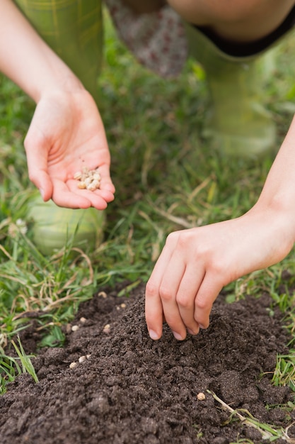 Photo femme de planter dans un champ par une journée ensoleillée