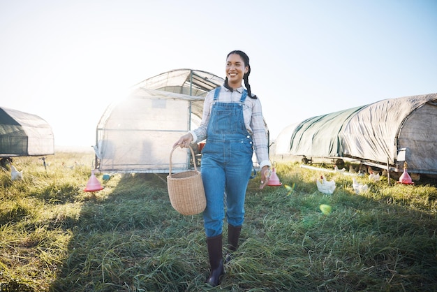 Femme de poulailler avec panier marchant sur une ferme avec de l'herbe à oiseaux et un champ de campagne avec une entreprise durable Agriculture aviculture et agriculteur heureux travaillant avec la nature alimentaire et les animaux