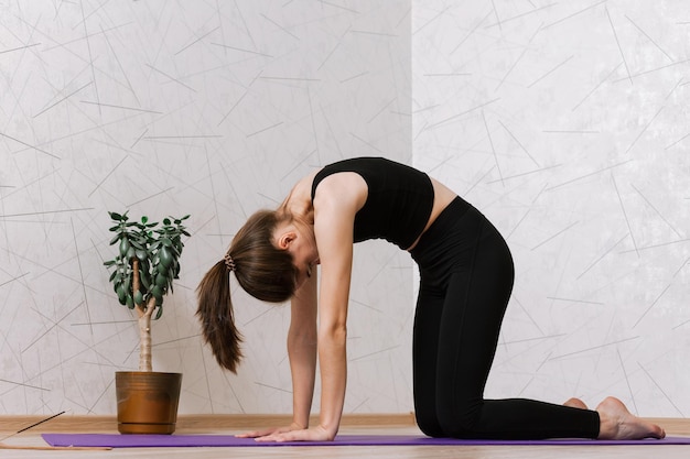 femme pratiquant le yoga dans la pose de chat tout en s'étirant en arrière