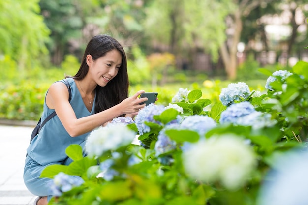 Photo femme prenant une photo sur le jardin d'hortensias