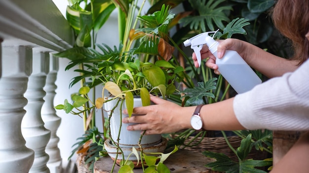 Une femme prenant soin et arrosant les plantes d'intérieur par vaporisateur à la maison