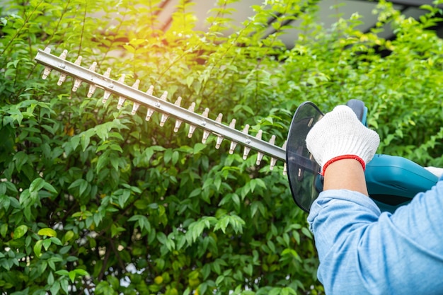 Femme prenant soin et cultivant des plantes Passe-temps plantation jardin maison taille ornementale