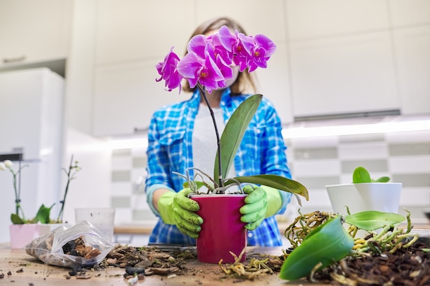 Femme prenant soin de l'orchidée Phalaenopsis plante, couper les racines, changer de sol, espace intérieur de cuisine