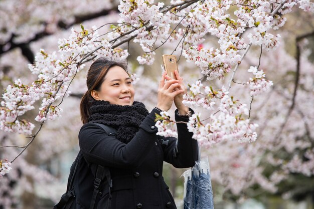 Une femme prend des fleurs de cerisier en photo avec un mobile dans le jardin Hokkaido au Japon.