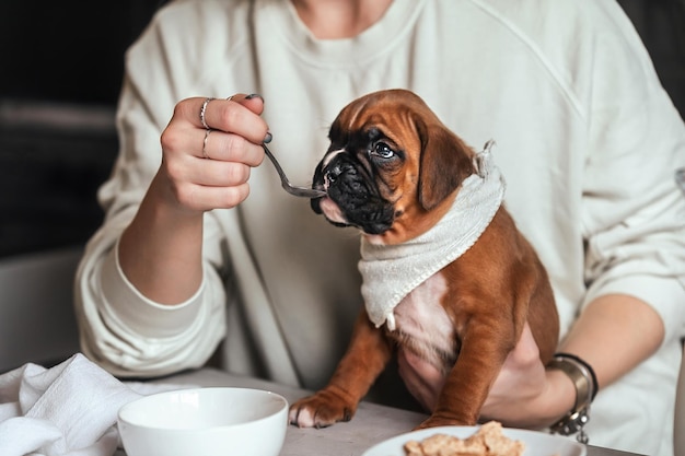 une femme prend son petit-déjeuner à table et donne des céréales et du lait à un petit chiot lorsqu'il est enfant