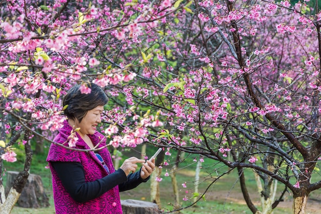 femme profiter de la photo dans le téléphone intelligent après selfie au parc sous l&#39;arbre de sakura