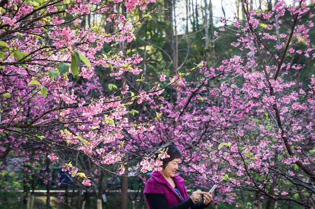 femme profiter de la photo dans le téléphone intelligent après selfie au parc sous l&#39;arbre de sakura