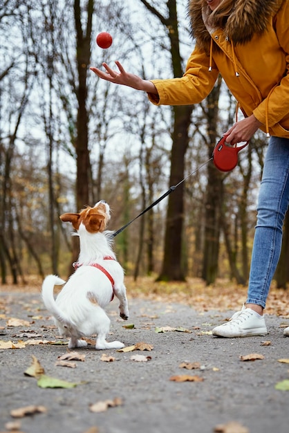 Femme avec promenade de chien dans le parc d'automne