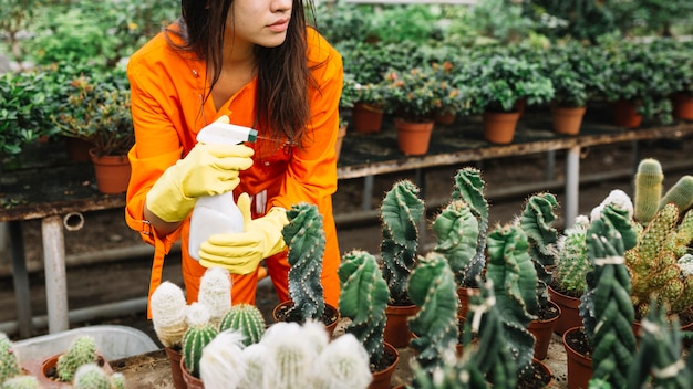 Femme, pulvérisation, eau, plantes, serre