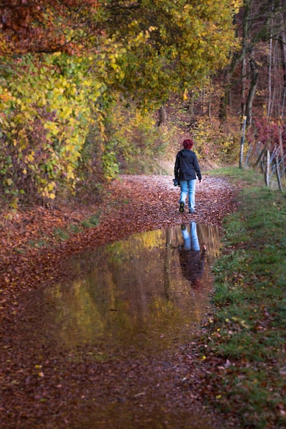 Photo une femme qui se promène dans la forêt en automne.