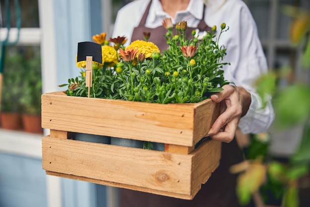 Femme de race blanche avec des plantes ornementales debout à l'extérieur