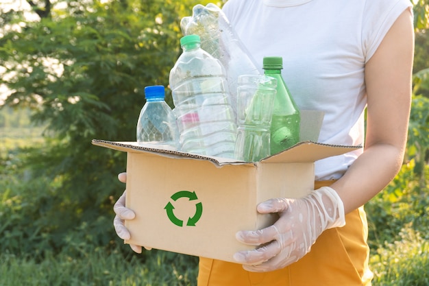 femme, ramasser, déchets, bouteilles plastique, dans, a, boîte, pour, recyclage, concept