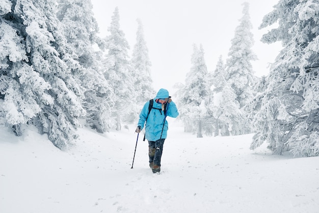 Femme en randonnée dans la forêt enneigée