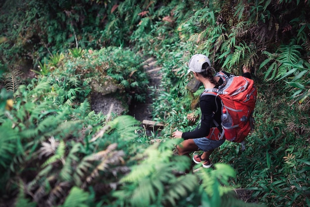 Femme en randonnée dans la forêt