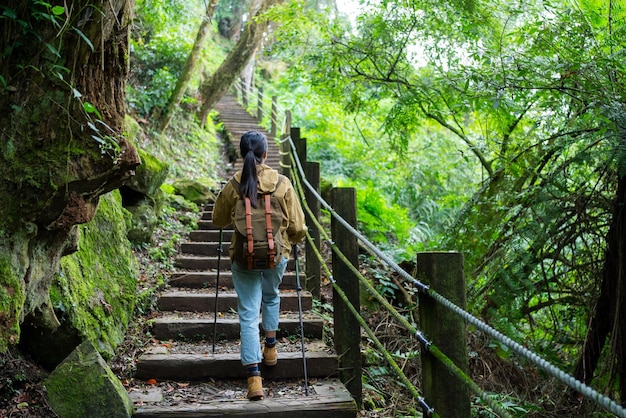 Une femme de randonnée fait de la randonnée et se promène dans la forêt.