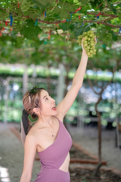 Femme récoltant des raisins à l'extérieur dans le vignoble