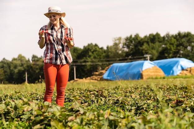 Femme de récolte sur le champ de fraises.