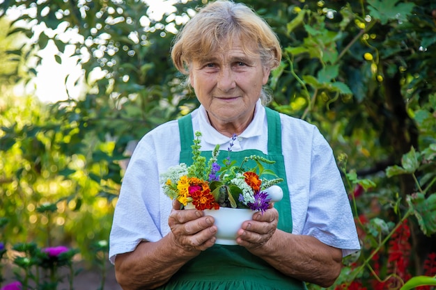 La femme recueille des herbes médicinales et des fleurs. Mise au point sélective.