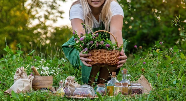 Une femme recueille des herbes médicinales