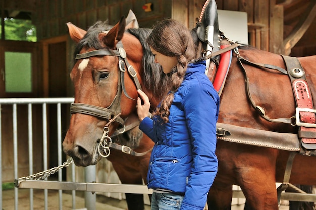 Une femme regarde un cheval dans l'écurie.