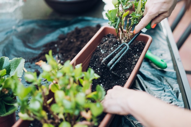 Femme en remuant le sol dans un pot rectangulaire avec une fourche de jardinage