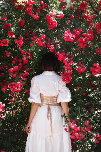 Une femme en robe blanche avec un corset se promène dans le jardin sur le fond de buissons de roses belle fille romantique